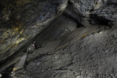 Marie vítězná - dlouhá dobývka