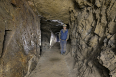 Zlatodůl u Kocelovic