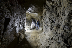 Zlatodůl u Kocelovic