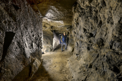 Zlatodůl u Kocelovic