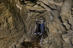 Zlatodůl u Kocelovic