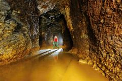 Jeden z větších zachovalých dolů u Lednice