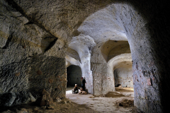 Oblíbená figura psa mimo prohlídkovou trasu