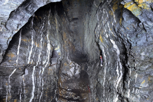 Nový Knín a okolí