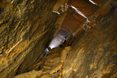 Bezejmenná průzkumná štola na Berounsku - zasucený vchod a uvnitř jezevec