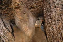 Štola Barbora na Berounsku