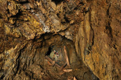 Štola Barbora na Berounsku