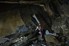 Woodboys - místo zvané knihovna